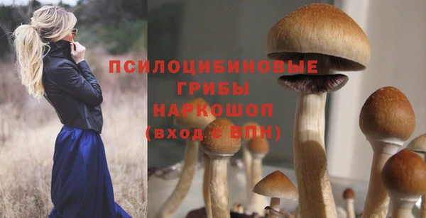 бутик Гусь-Хрустальный