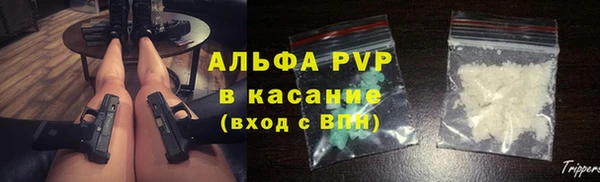 СК Дмитров