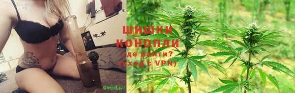 каннабис Дмитриев