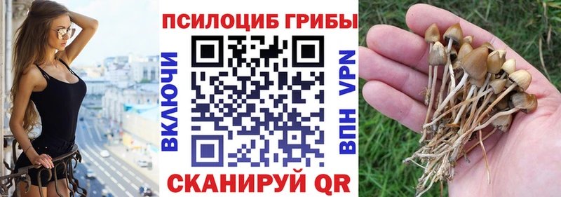 наркота  кракен   Псилоцибиновые грибы Psilocybine cubensis  Коломна 